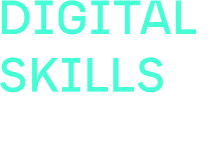 Digital Skills Festival